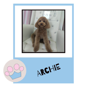 Archie