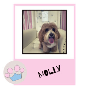 Molly