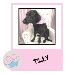 Tilly